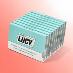 Lucy Wintergreen Nicotine Gum 4mg - Osvežavajuće (10 pak.)