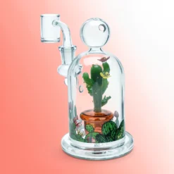Pulsar Cactus Terrarium Stakleni dab rig - 6" / 14mm F