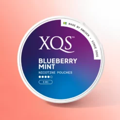 XQS Blueberry Mint 8mg nikotinske kesice bez duvana